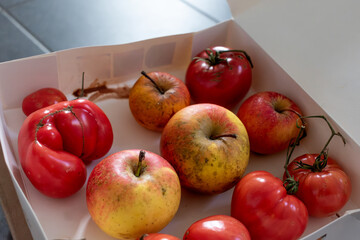 Fototapete bei efototapeten.de bestellen   