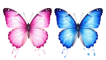 Two butterflies; pink and blue, droplet trail on a black background