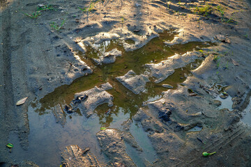 A muddy terrain glistens with reflected sunlight, revealing textures and patterns. Marks from tires and footprints suggest recent activity, while natural elements like leaves add contrast and detail.