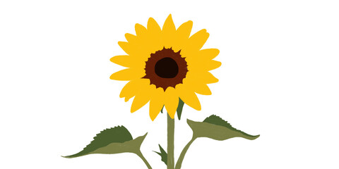 Sunflower illustration. Minimal hand-drawn sunflower illustration symbolizing nature, optimism, and eco life.