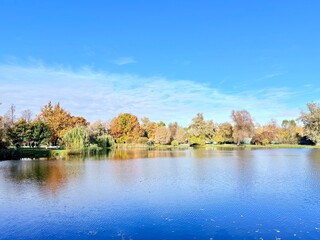 Vivid autumn trees reflection on the lake surface in the park, blue sky and pure calm blue water,...