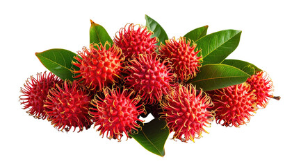 Group of bright red rambutan fruits with vibrant green leaves
