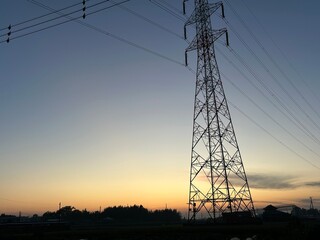 Fototapeta premium power lines at sunset