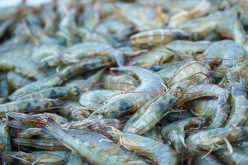 An abundant stack of raw prawns, showcasing their natural colors and textures. The prawns are ready to be cooked, promising a delicious meal. Suitable for food and seafood concepts.