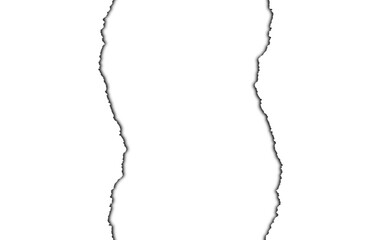 Abstract vertical black brush stroke with rough textured edges against a clean white background representing artistic expression and graphic design elements