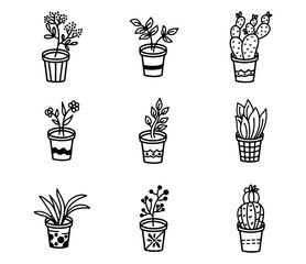 plant flower pots