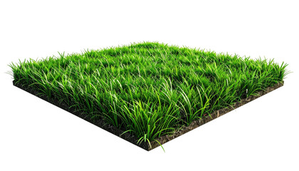 Patch of bright green grass with dirt edges against black background