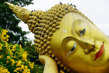 Golden Buddha Sculpture Surrounded by Nature and Bird Life