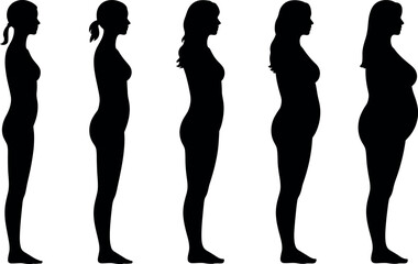 Stages of womans body changes concept of weight loss and pregnancy