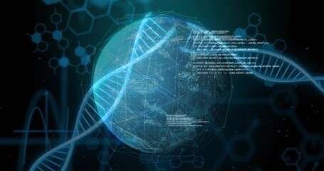Fototapeta premium Earth globe rotating in virtual interface, with DNA helix, network grid and code fragments