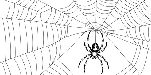 Spider hanging on detailed cobweb illustration for Halloween spooky decoration, horror themed graphic design, creepy insect and web artwork element