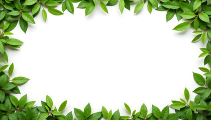 Fototapeta premium Green Tropical Leaves Frame on White Background
