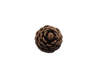 Collection of Various Natural Pine Cones on White Background