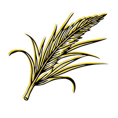 Black and yellow illustration wheat ear or other cereal plant without background