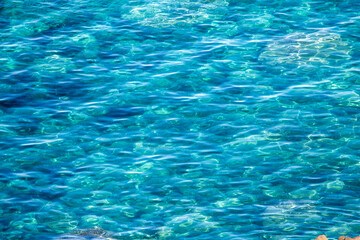 Mysterious and vivid Shakotan blue