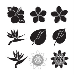 Tropical flower silhouettes, hibiscus, plumeria, anthurium, passion set and bundle silhouette art vector design