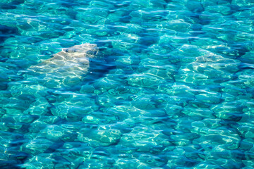 Mysterious and vivid Shakotan blue