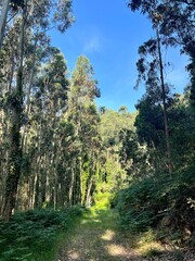 Obraz premium Viaje por Lugo y Galicia fotos paisajes