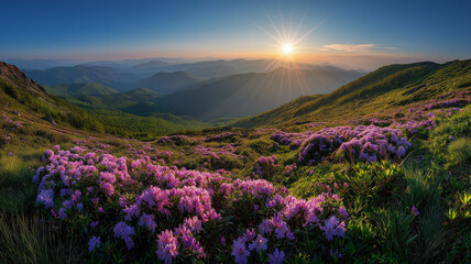 Sunrise over a mountain valley filled with blooming rhododendrons