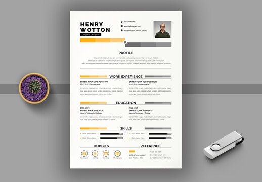 Clean Resume Layout