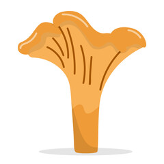 Vector illustration of a golden chanterelle mushroom. Flat vector drawing of a single golden chanterelle mushroom with smooth cap and curved stem, ideal for food, forest, and organic themes.