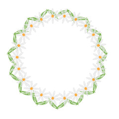 Hand drawn floral wreath with white daisies. Beautiful hand drawn circular floral wreath made of white daisies and green leaves, perfect for wedding invitations, greeting cards, and spring designs.