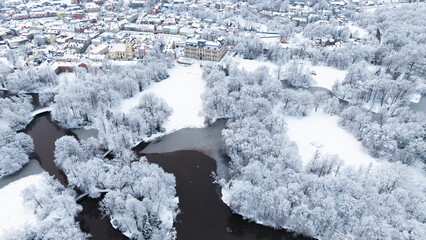 View of Pszczyna town, park and castle during a winter time