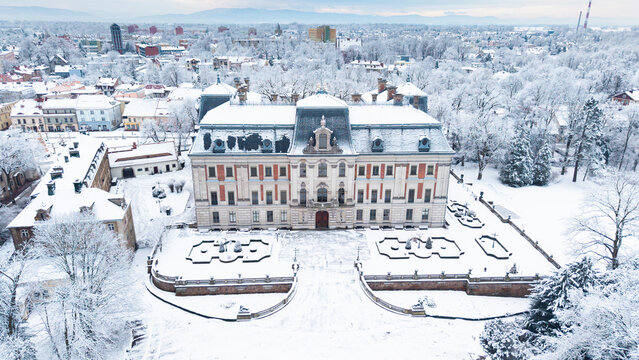 View of Pszczyna town, park and castle during a winter time