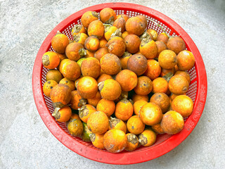 Red Plastic Bowl Full of Fresh Betel Nuts – Organic Areca Nut Harvest