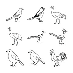 Nine Birds Outline Vector Illustration Collection Line Art Design