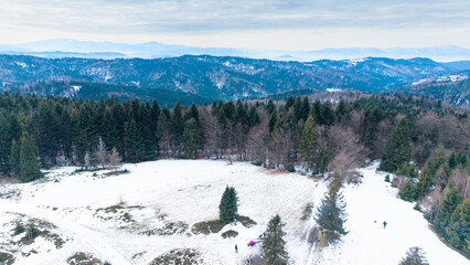 A tranquil winter panorama of Beskid Mały in southern Poland, where snowy meadows meet evergreen forests and rolling mountain hills under a serene, cloud-streaked sky.