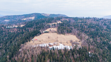 A tranquil winter panorama of Beskid Mały in southern Poland, where snowy meadows meet evergreen forests and rolling mountain hills under a serene, cloud-streaked sky.