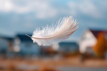 White feather floating midair with blurred background.
