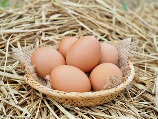 Several fresh chicken eggs are placed in bamboo basket on a pile of straw.