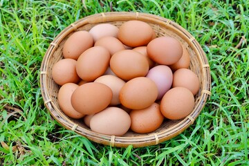 Several fresh chicken eggs are placed in bamboo basket on a green grass field.