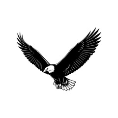 Flying Eagle Silhouette Vector Art