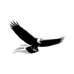 Flying Eagle Silhouette Vector Art