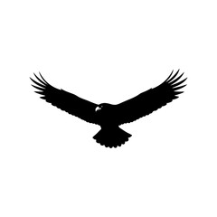 Flying Eagle Silhouette Vector Art