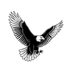 Flying Eagle Silhouette Vector Art