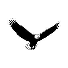 Flying Eagle Silhouette Vector Art