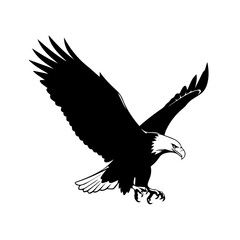 Flying Eagle Silhouette Vector Art
