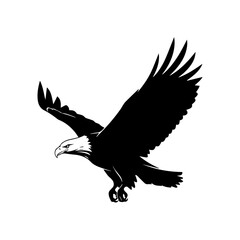 Flying Eagle Silhouette Vector Art