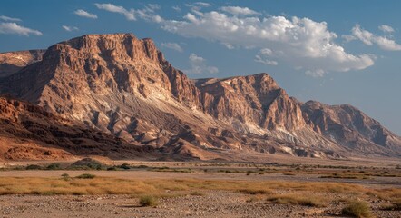 Naklejka premium Majestic Edom: Rocky Mountains Towering Over the Arava Plains with Reddish Silt and Sparse Vegetation