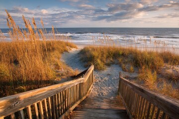 Naklejka premium Picturesque Pathway to the Atlantic Ocean Beach at Huntington State Park, SC: Scenic Boardwalk Over Sand Dunes in Evening Light