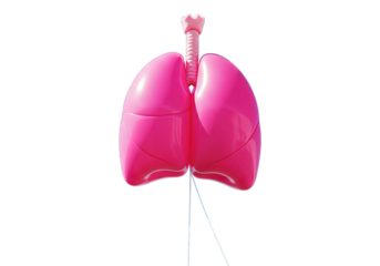 pink lungs balloon