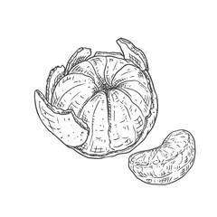 Peeled ripe tangerine with a slice. Vector illustration