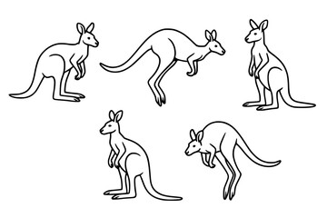 Illustration of 6 Kangaroos, outline version