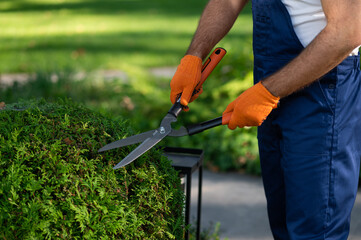 Landscaping maintenance worker performing garden care