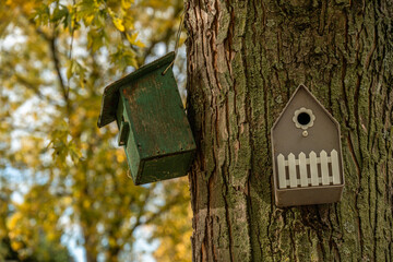 Birdhouses on tree trunk in autumn forest
