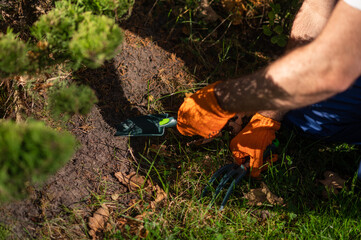 Gardener planting new flowers in soil during landscaping work outdoors